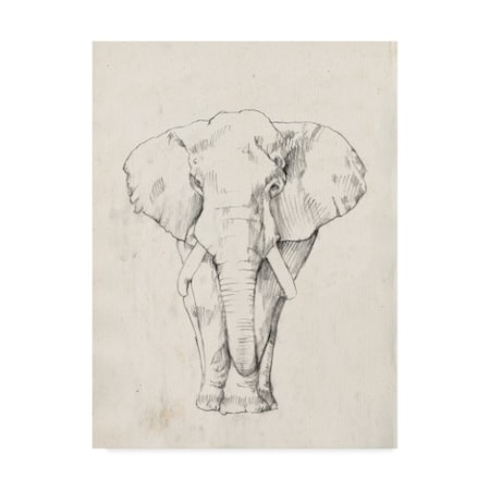 Jennifer Goldberger 'Elephant Portrait I' Canvas Art,18x24